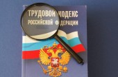 Замечания ШПЛС к проекту постановления Правительства РФ «Об особенностях регулирования трудовых отношений в 2020 году»